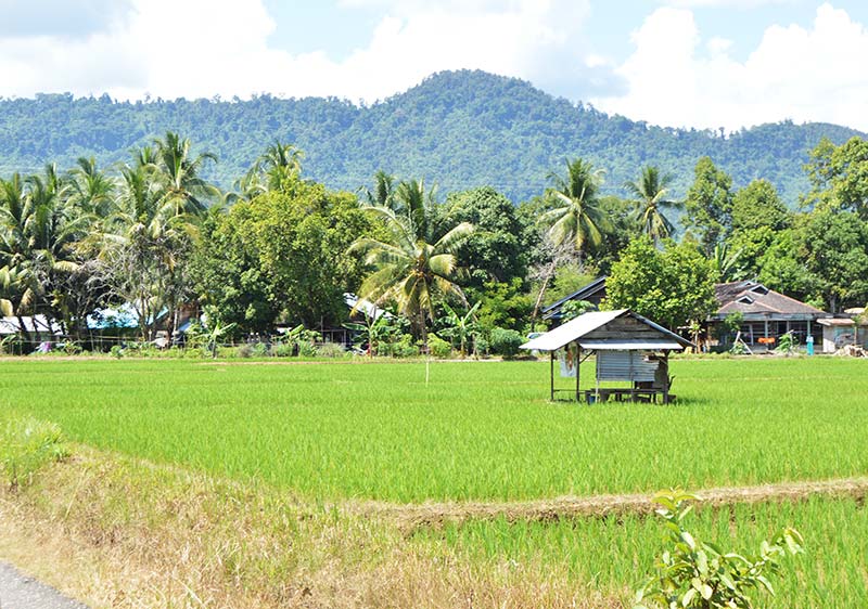 foto-pemandangan-wisata-goa-liang-tapah-tanjung-kalsel-muara-uya