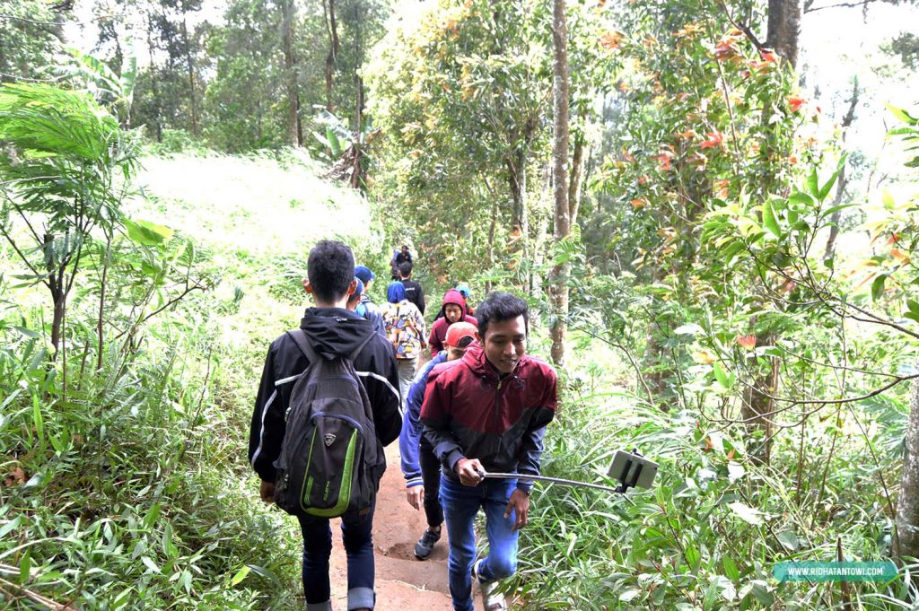kondisi-pendakian-gunung-andong